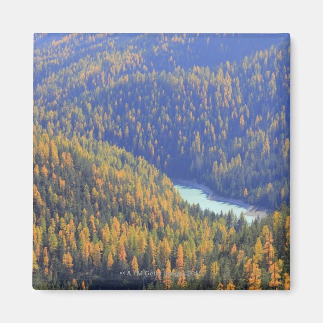 Fuorn Pass Magnet (Framsidan)