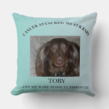 Fur Baby Hopp & Läkningsdesign