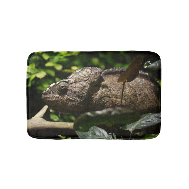 Furcifer oustaleti badrumsmatta (Framsidan)