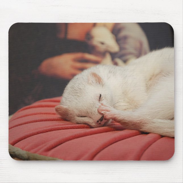 Furet surcoussin rosa Mousepad Musmatta (Framsidan)