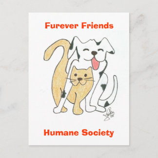 Furever Friends Humane Society-vykort Vykort