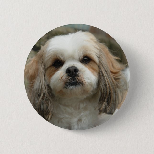 Furface klämmer fast knapp (Framsida)