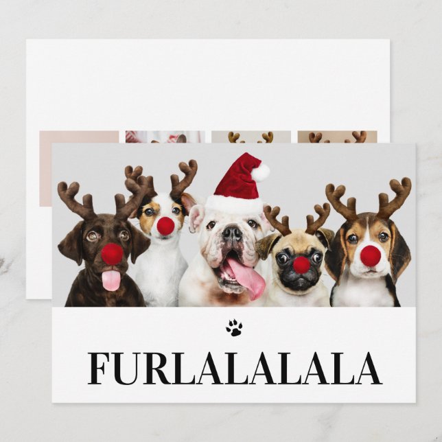 Furlalala Hund jul 5 fotokort Inbjudningar (Fram/baksida)