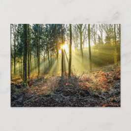 Furnace Valley Postcard Vykort