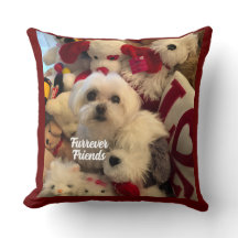 Furrever Friends Decor Pet Pillow
