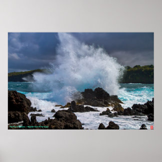 Fury Kanaloa ~ Hawaiis gud Poster