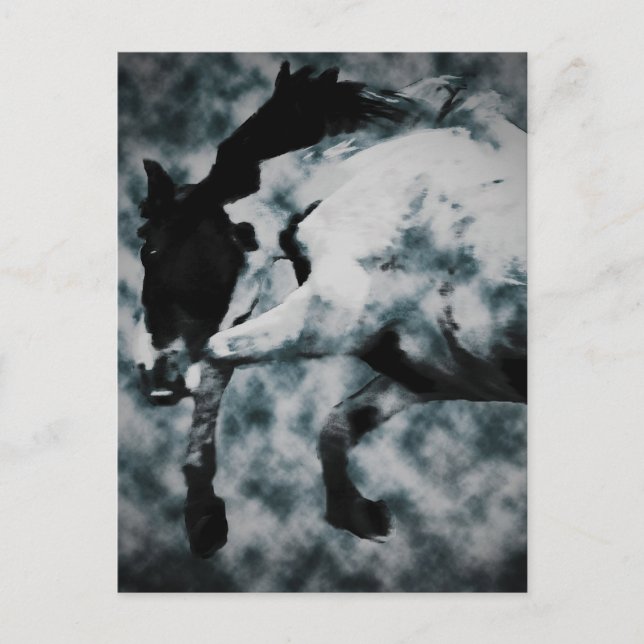 Fury Vykort (Framsida)