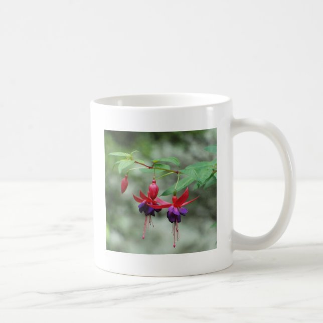 Fuschia1A.jpg Kaffemugg (Höger)