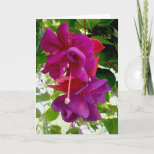 Fuschia-anteckningskort Helgkort