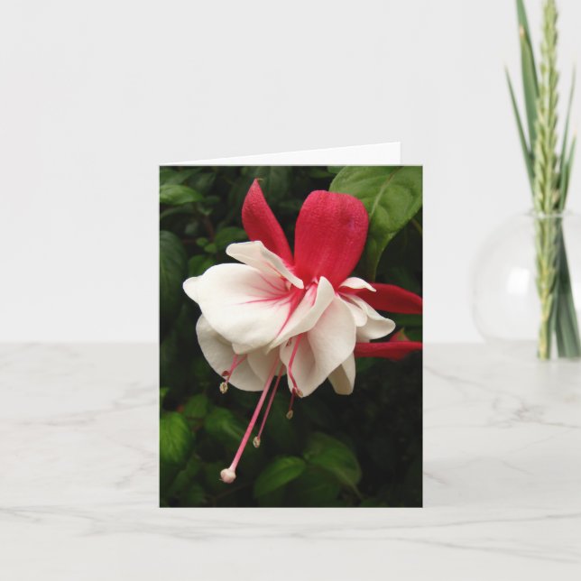 Fuschia blommar Notecard Kort (Framsida)