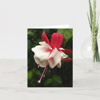 Fuschia blommar Notecard Kort