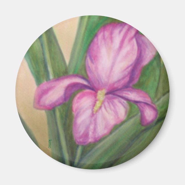 Fuschia iris magnet (Framsidan)