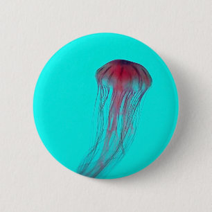 Fuschia Rosa Jellyfish on Aqua Blue Grönt Knapp