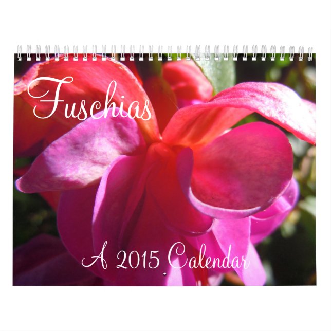 Fuschias 2015 II Kalender (Omslag)