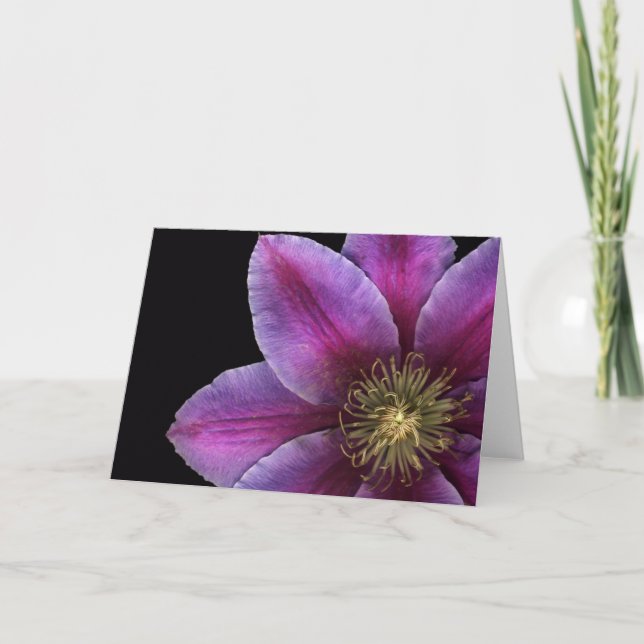 Fuscia Clematisnärbild Kort (Framsida)