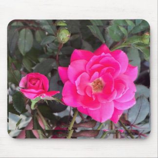 Fuscia Ro Mouse Pad Musmatta