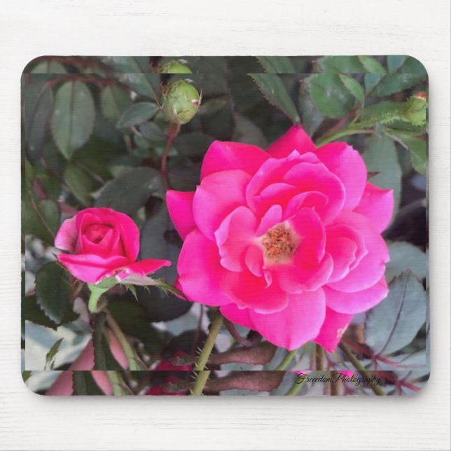 Fuscia Ro Mouse Pad Musmatta (Framsidan)
