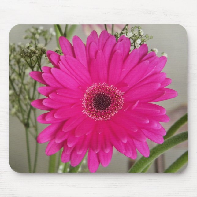 fushia daisy mousserande musmatta (Framsidan)