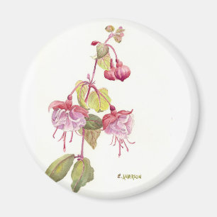 Fushia vattenfärgsblomma röd och rosa magnet