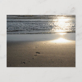 Fußspuren am Sandstrand Vykort