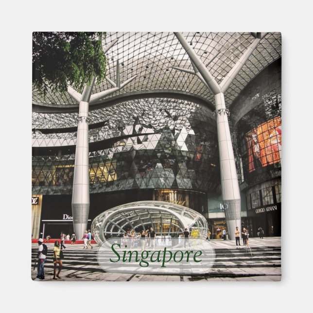 Futuristiska Architecture Shopping Singapore Magne Magnet (Framsidan)