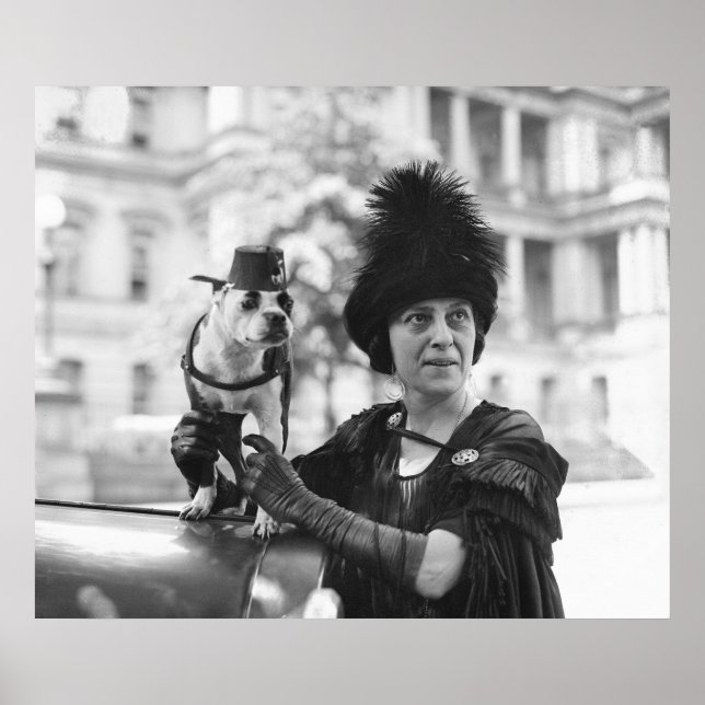 Fuzz and Fez: 1923 Poster (Framsidan)