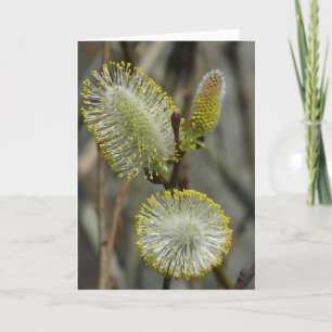 "Fuzzy Blooming Bush" Kort