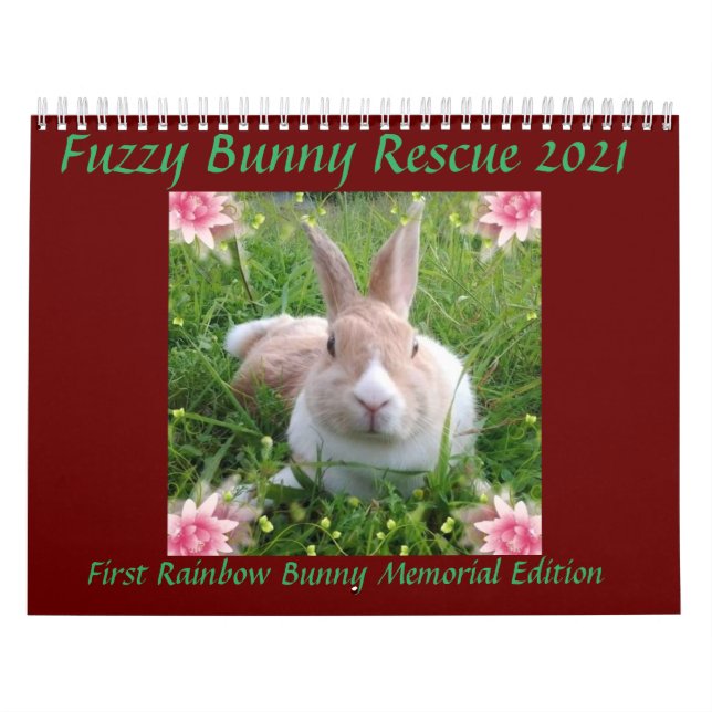 Fuzzy Bunny Rädding 2021 Kalender (Omslag)