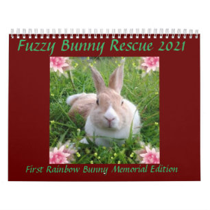 Fuzzy Bunny Rädding 2021 Kalender