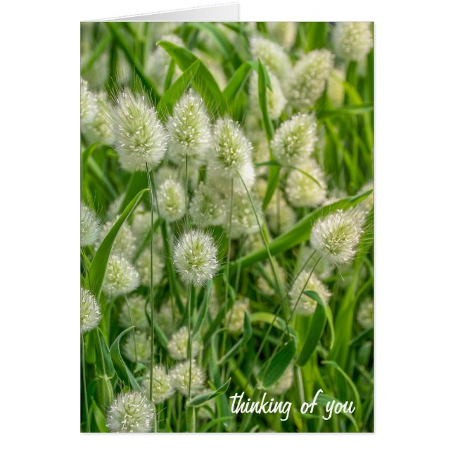 fuzzy bunny svan-plantänkande om dig hälsningskort (Framsidan)