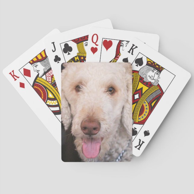 Fuzzy Casinokort (Baksidan)