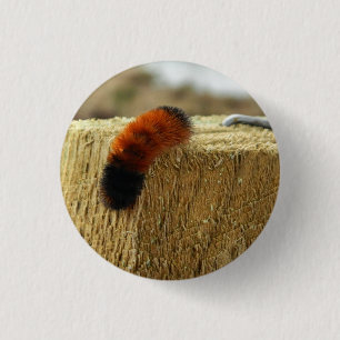 Fuzzy Caterpelare Knapp