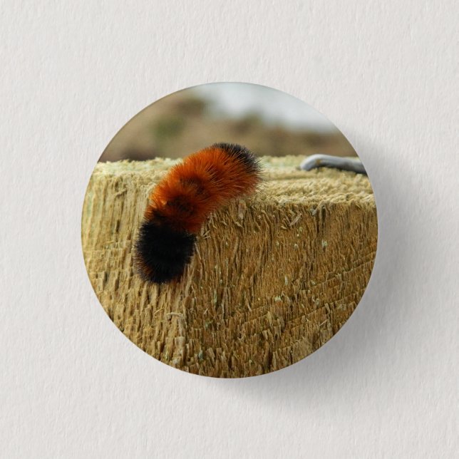 Fuzzy Caterpelare Knapp (Framsida)