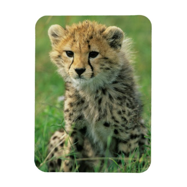 Fuzzy Cheetah Unge Magnet (Vertikal)