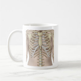 Fuzzy Express® Female Skeleton Anatomy Kaffemugg