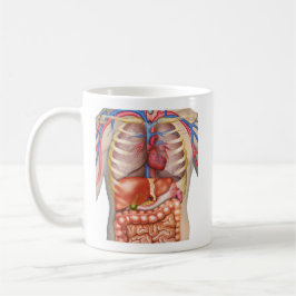 Fuzzy Express® Internal Organs anatomi Kaffemugg