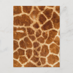 Fuzzy Giraffe Päls Mönster Vykort
