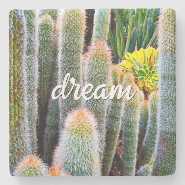 Fuzzy Grönt Cacti Succulent Photo Dream Script Underlägg Sten (Framsidan)