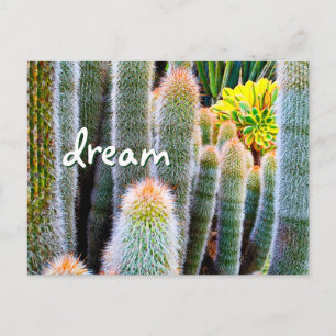 Fuzzy Grönt Cactus Photography Dream-skript fet Vykort