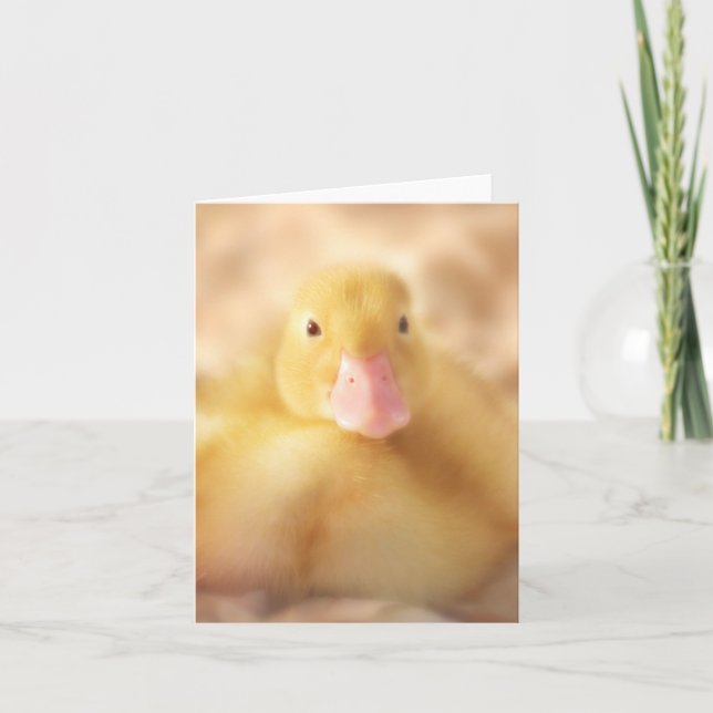 Fuzzy Gult Anka Påsk Baby Duckling Helgkort (Framsida)