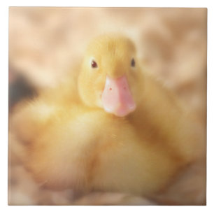Fuzzy Gult Anka Påsk Baby Duckling Kakelplatta