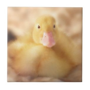 Fuzzy Gult Anka Påsk Baby Duckling Kakelplatta