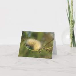 Fuzzy Gult Catercolumn - Blank Note Card Kort