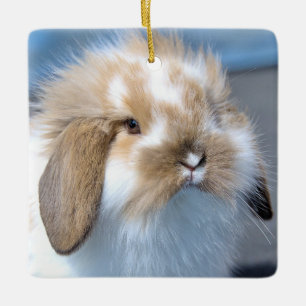 Fuzzy Holland Mini Dwarf Lop Bunny Rabbit Julgransprydnad Keramik