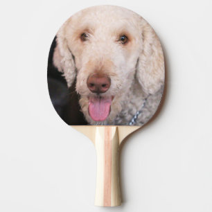 Fuzzy Pingisracket