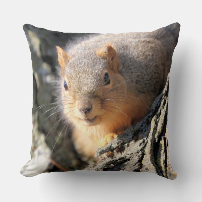 Fuzzy rumpa kudde (Framsida)