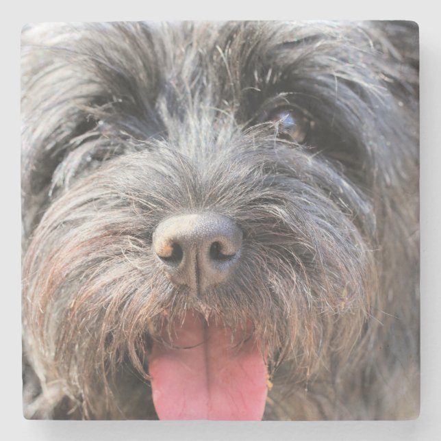 Fuzzy Stenunderlägg (Framsidan)