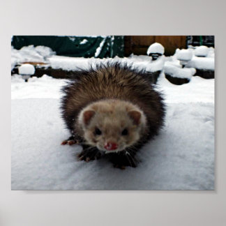 Fuzzy the Underbar Poster