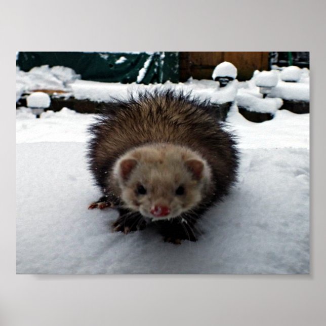 Fuzzy the Underbar Poster (Framsidan)