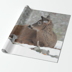 Fuzzy White Tails Hjort Fawn Presentpapper